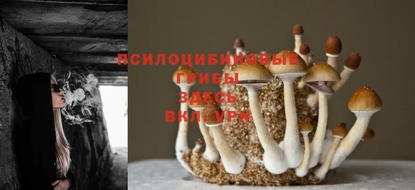 ALPHA PVP Богородск